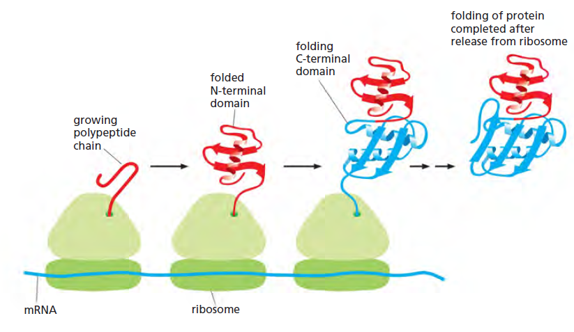 Figure 6-79.png
